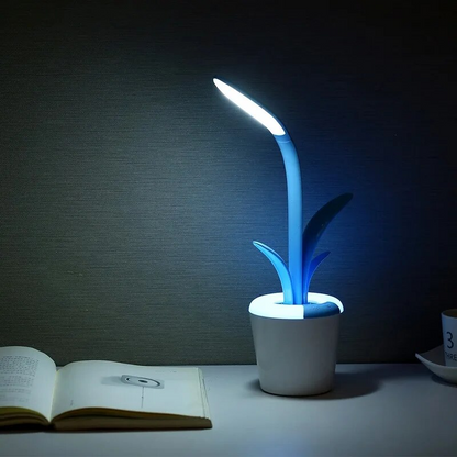 Modern Desk Table Lamp