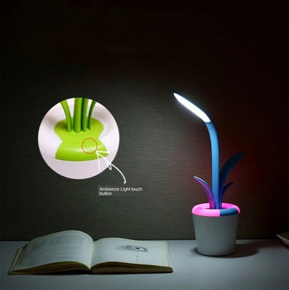 Modern Desk Table Lamp